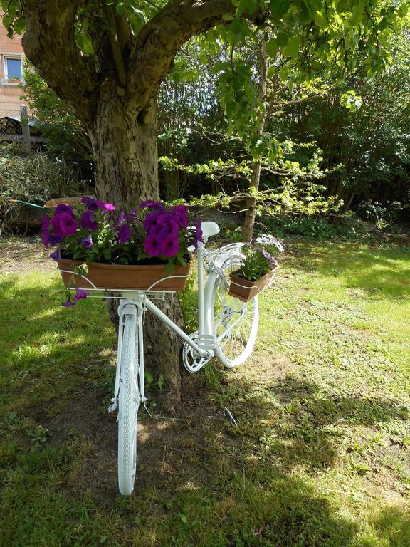Gite La Charmaie Husseren-Wesserling Habitación foto